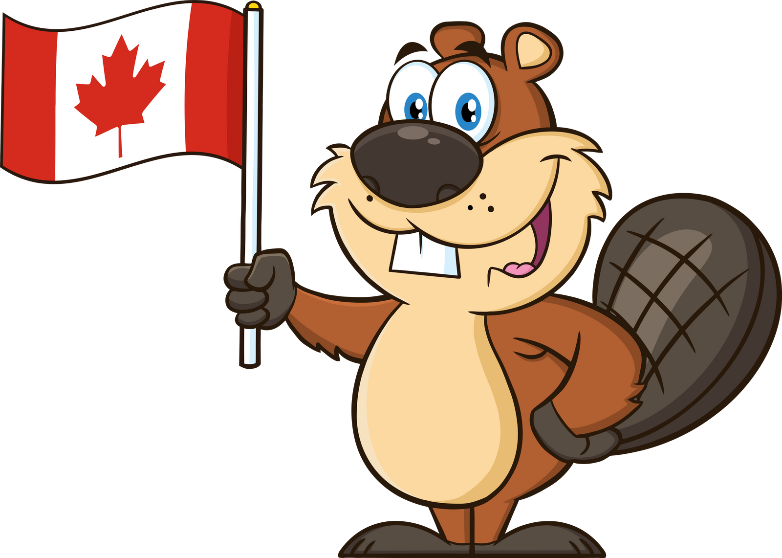 Canadian Beaver Cartoon