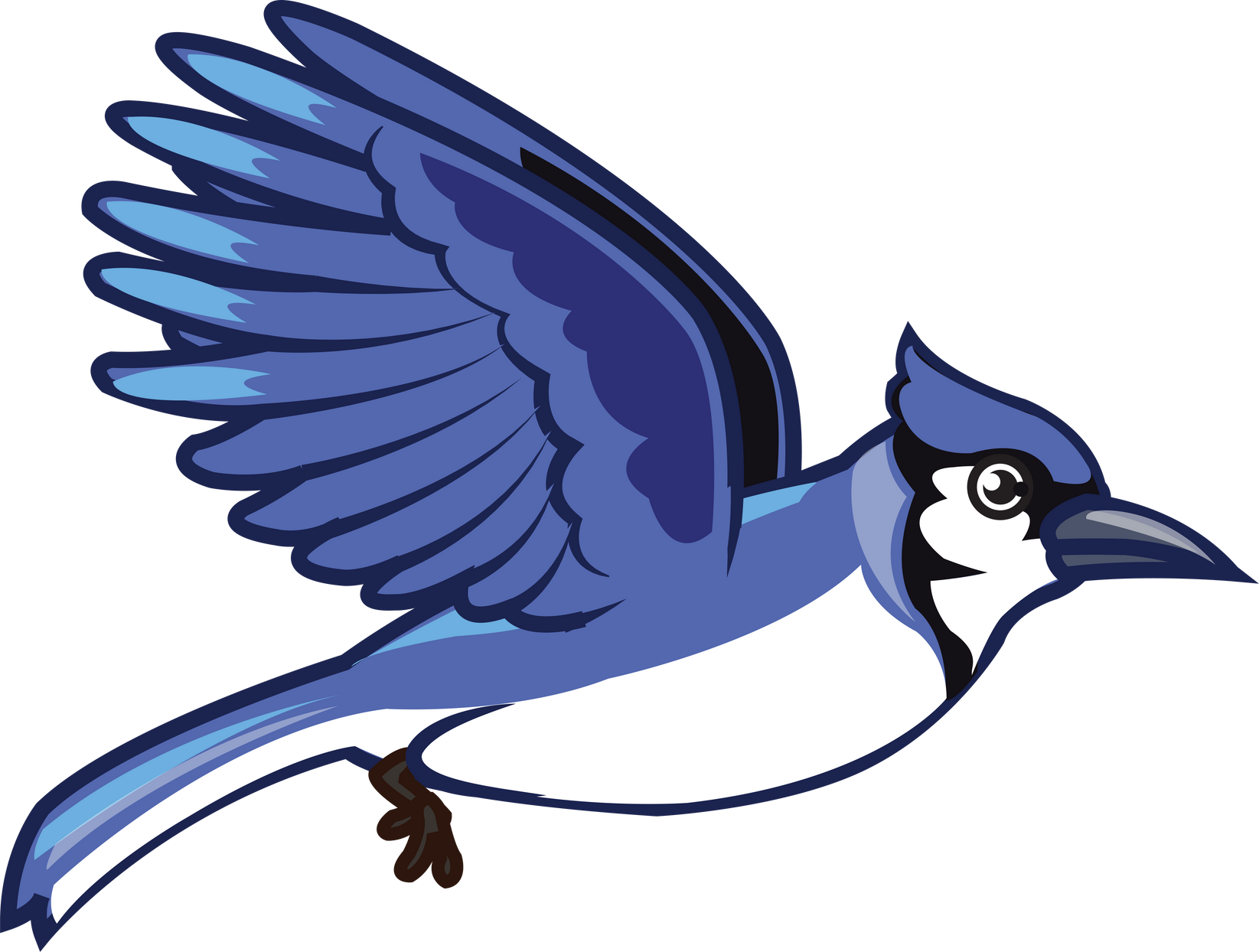 Blue Jay Bird Flapping Wings Flying